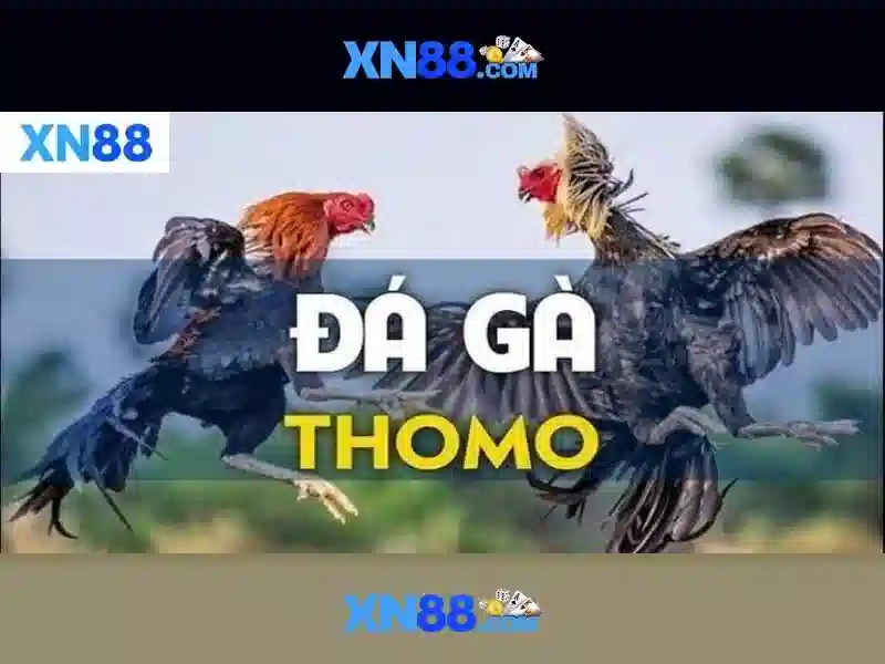 💎địa danh nào chỉ đúng quê hương bác hồ?💎