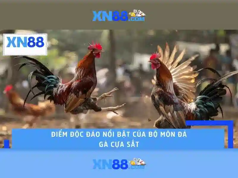 💎cách cá cược gà chọi💎