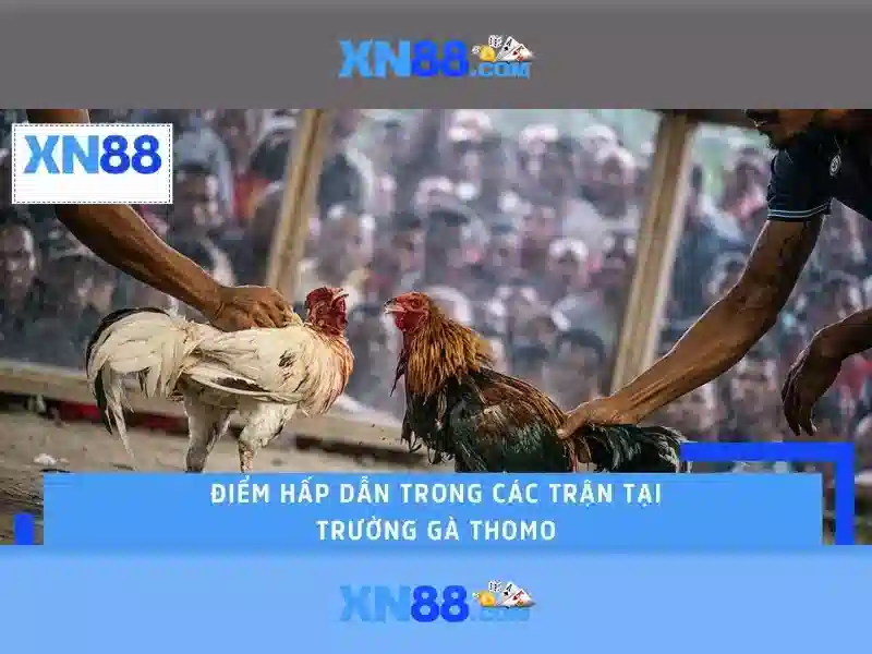 💎phim học viện cá cược💎