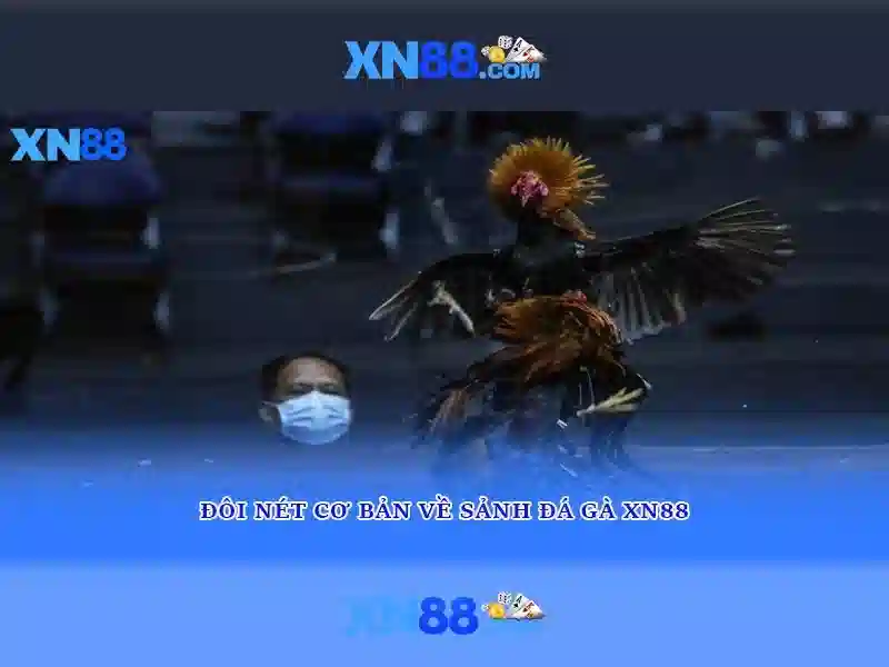 💎tool soi nhà cái💎