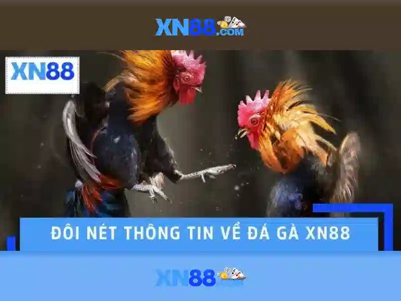 💎keèo nhà cái 5💎