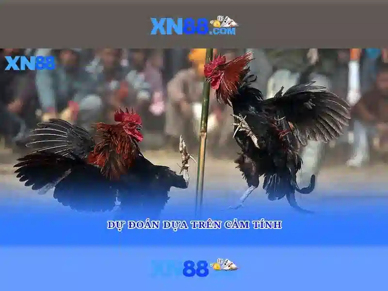 💎top 10 nhà cái uy tín nhất 2024💎