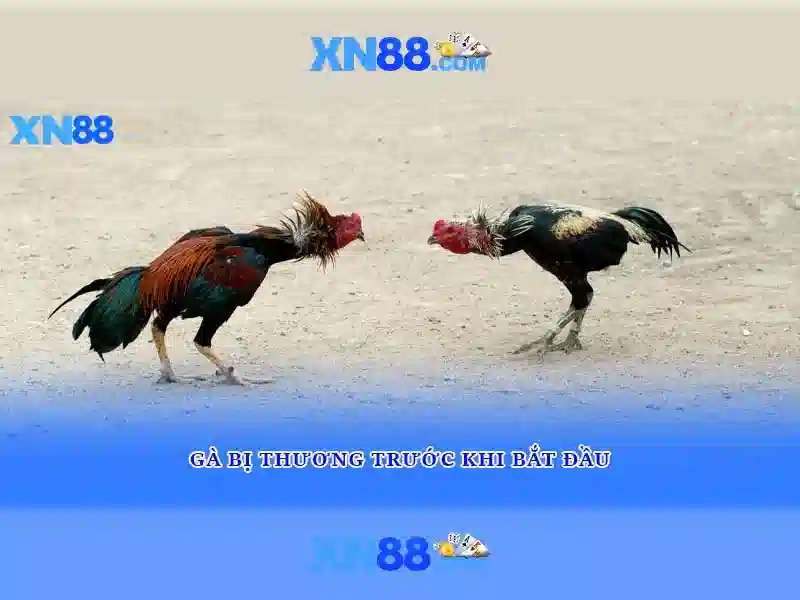 💎keo nha cai cup lien doan anh💎