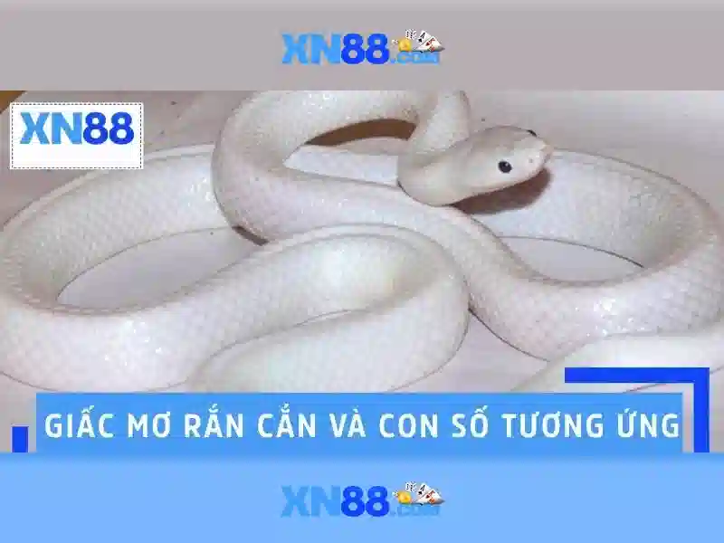 💎cá cược bóng đá 236💎