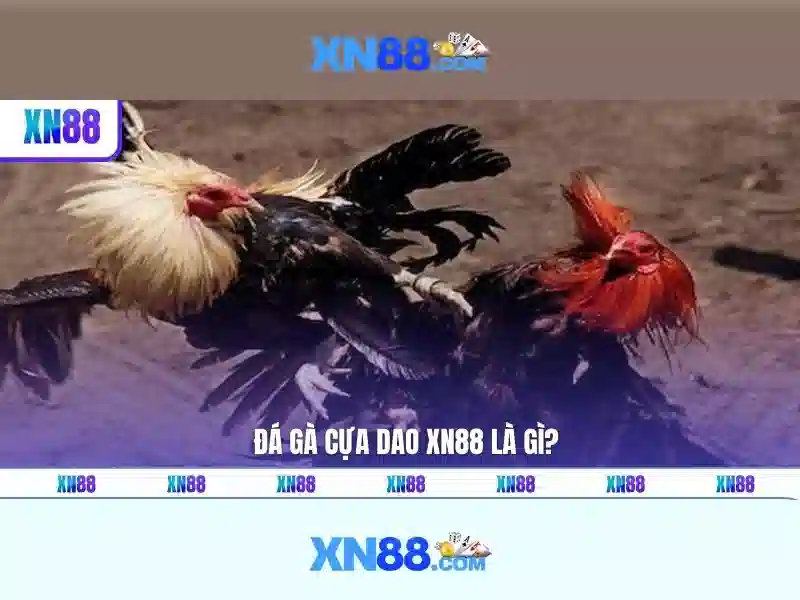  hướng dẫn đăng ký XN88 - XN88