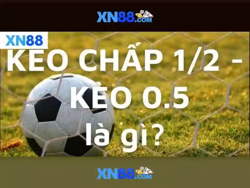 💎keo nhà cái pe💎