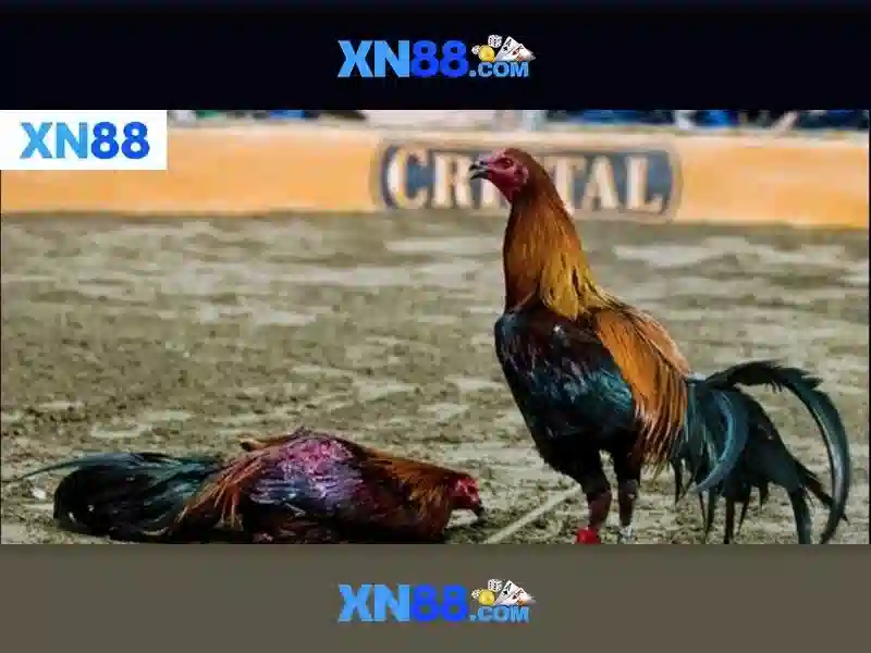 💎scroll of egypt slot💎