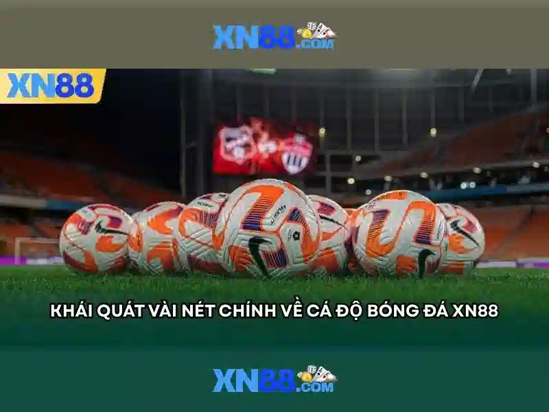 💎cong an hau giang bat danh bac💎