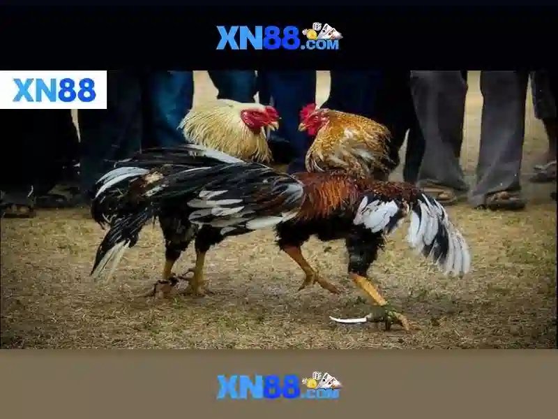 💎888slot slot 999💎