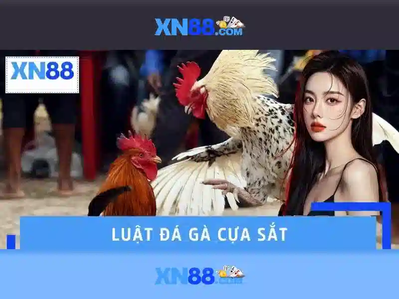 Chính Sách Bảo Mật XN88 – Nguyên Tắc Riêng Tư Và An Toàn Cho XN88 Casino - XN88