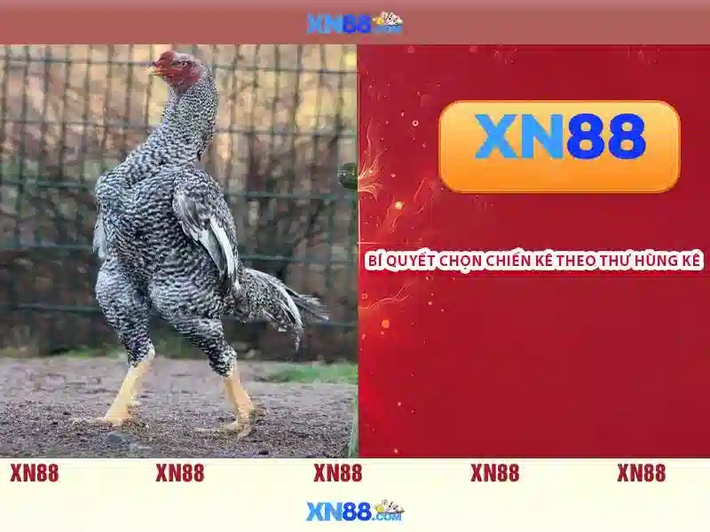 💎slot machine king💎