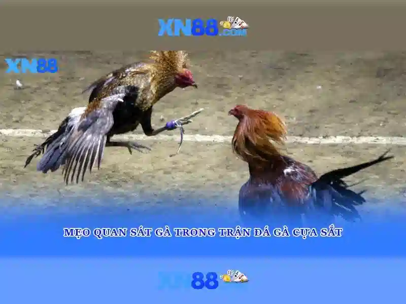 💎game nổ hũ tặng vốn💎