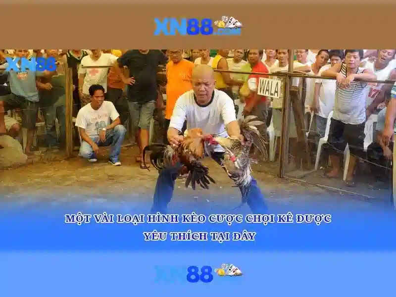 💎hb88 slot with hair💎