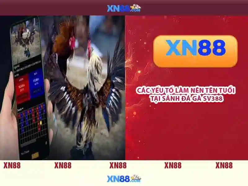 💎vụ đánh bạc ở phú xuyên💎