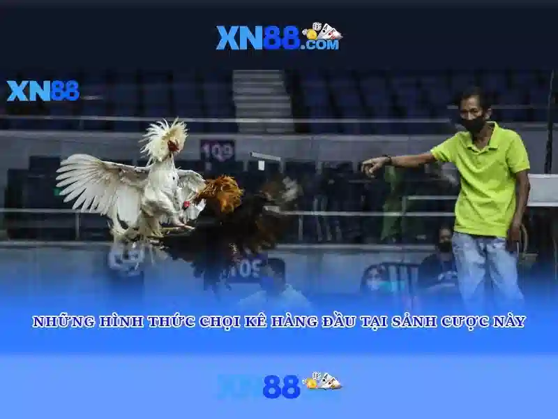 💎triệt phá đường dây đánh bạc poker💎