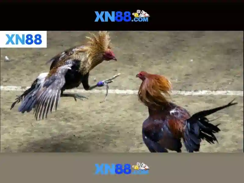 💎kèo nhà cái atletico💎