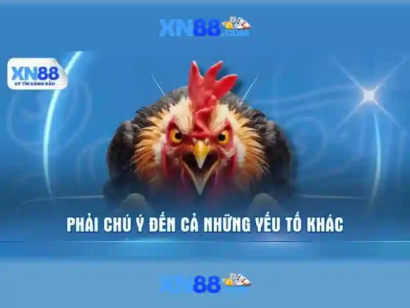💎kim tử long đánh bạc💎