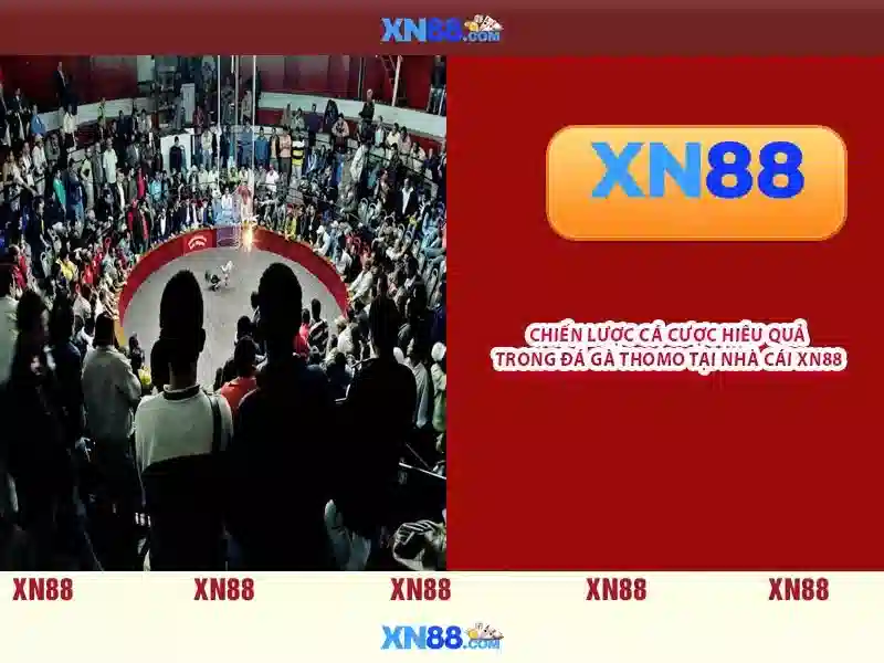 💎nhà cái uy tín globe💎