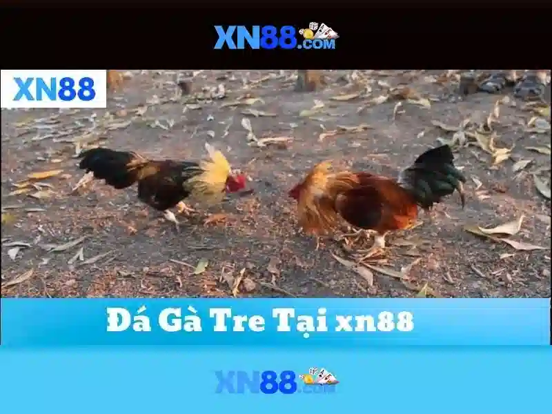 💎keo nha cai cup c2💎