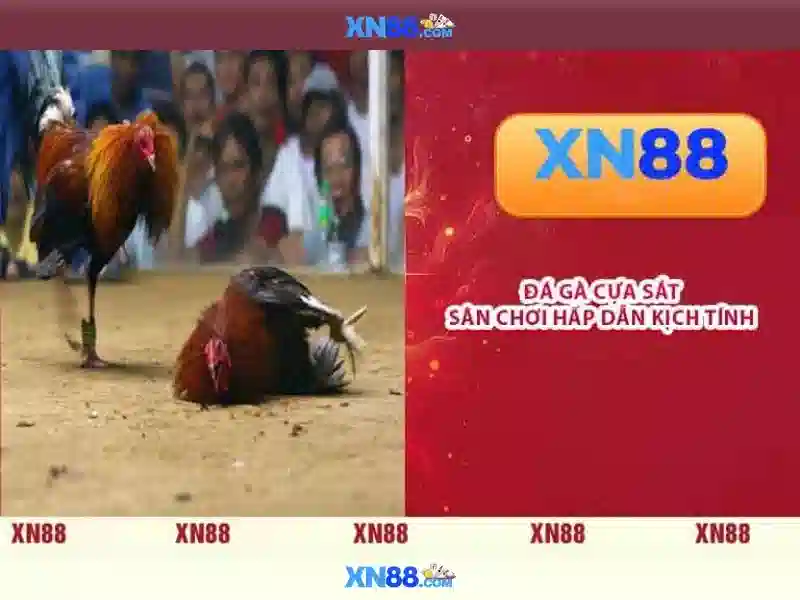 💎xs66 nhà cái💎