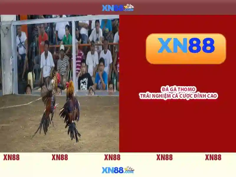 💎on line slot💎