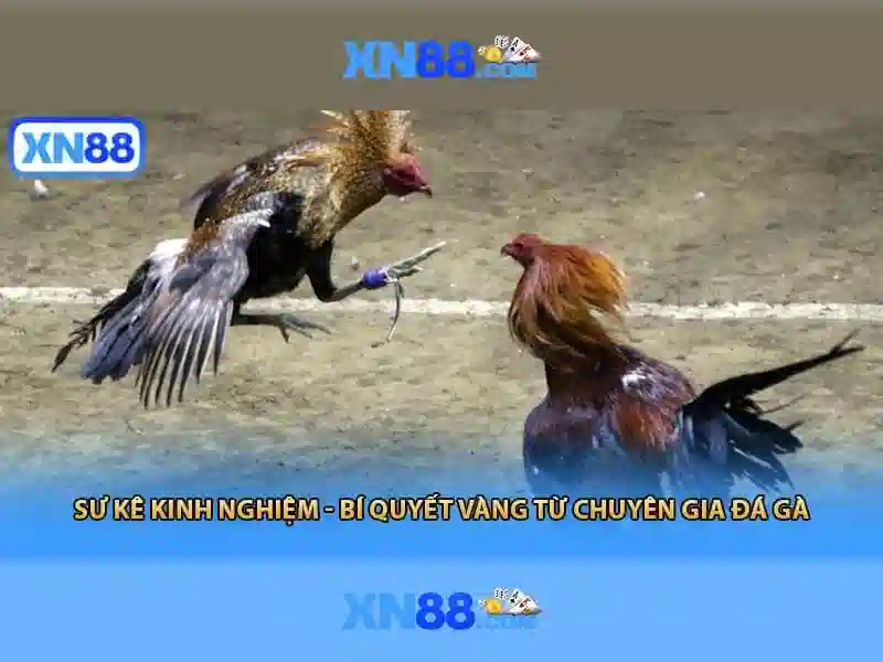 💎slot epic win💎