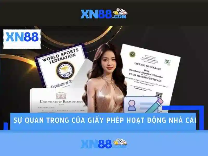 💎kèo nhà cái 5d💎