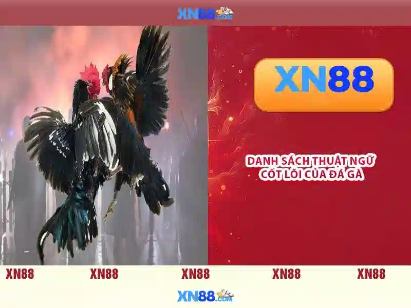 💎kèo nhà cái tennis💎