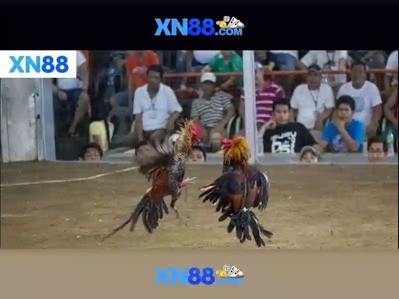 💎s689 nhà cái💎