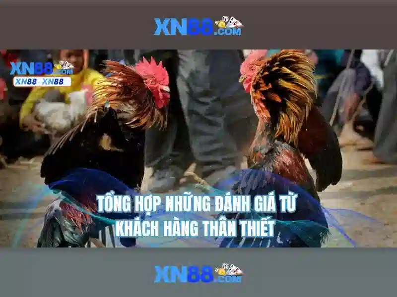  trải nghiệm XN88 - XN88