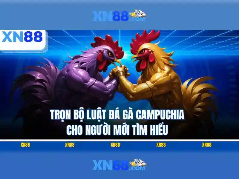  hướng dẫn XN88 - XN88