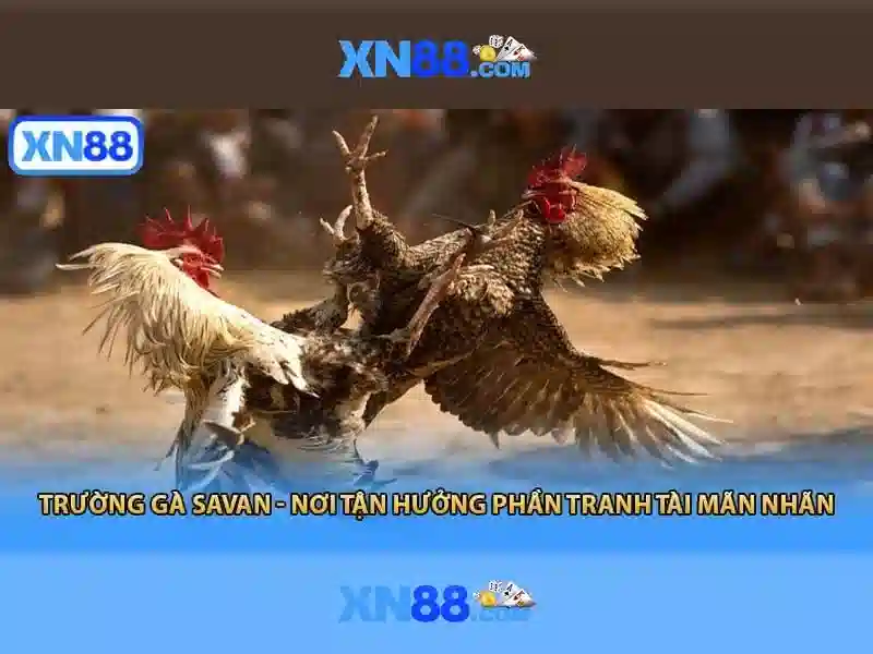 💎nằm mơ đánh bạc bị công an bắt💎