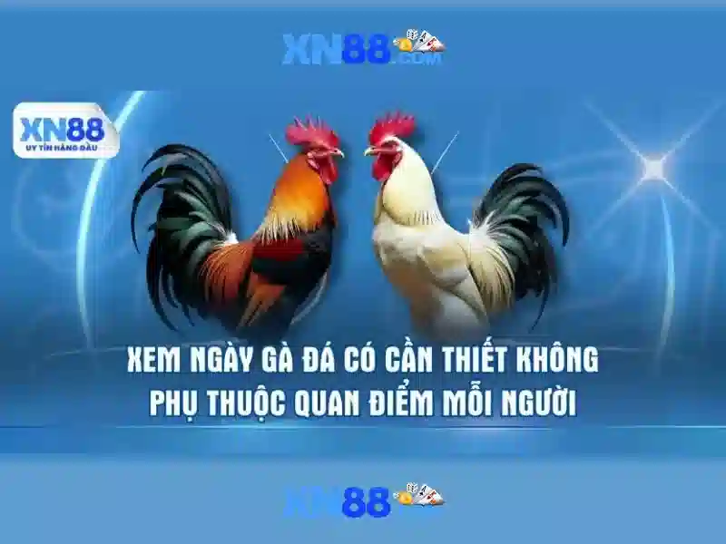💎tỷ lệ ca  cược bóng đá💎