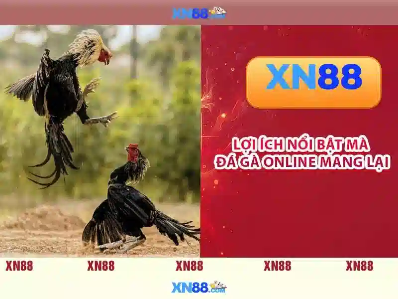 💎truyện cá cuọc💎