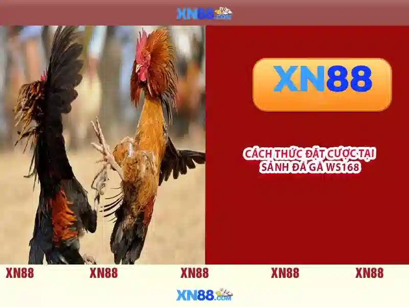 💎ca nhạc anh sẽ yêu em đến trọn cuộc đời💎