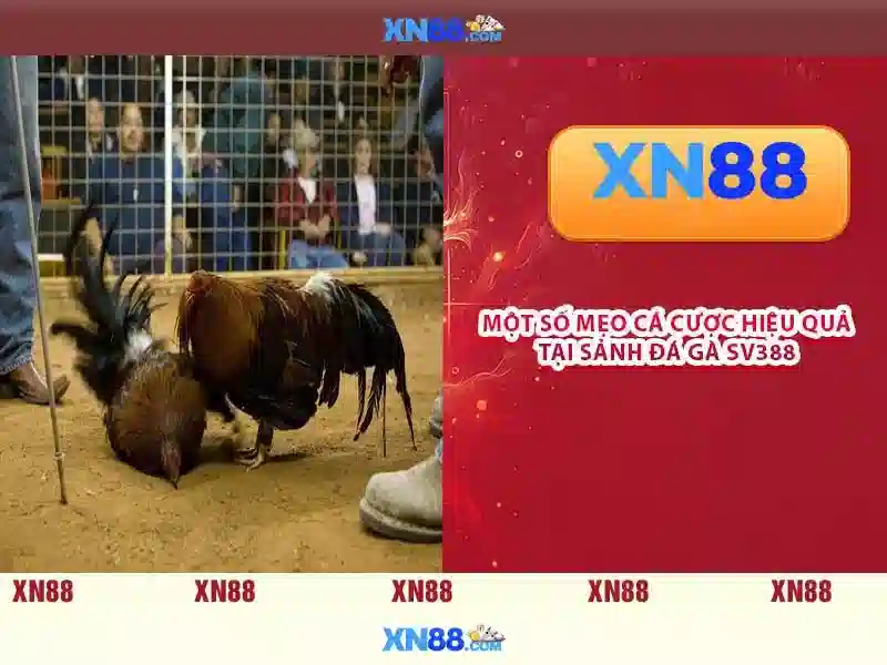 💎magic castle slots💎