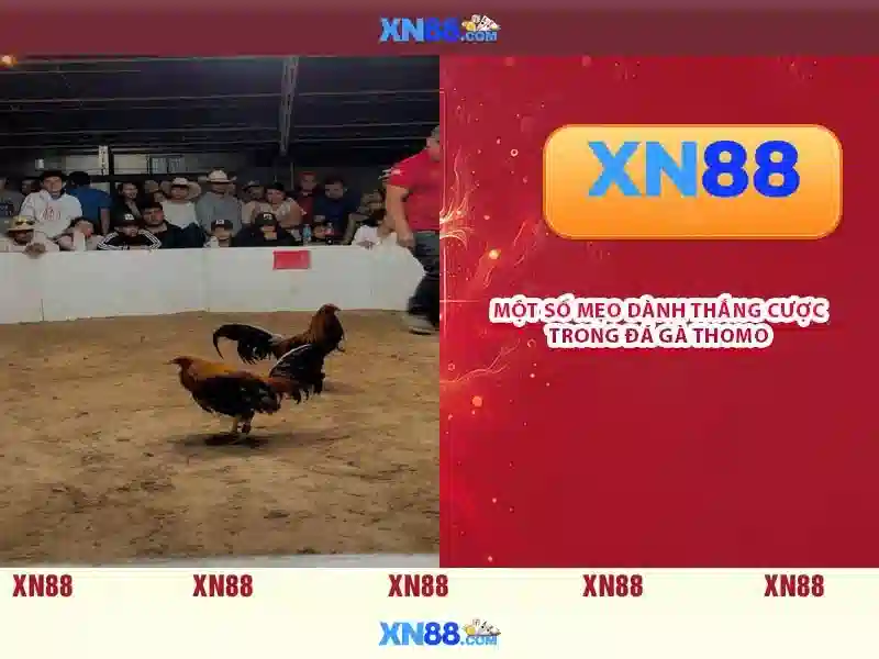 💎karaoke muốn yêu ai đó cả cuộc đời💎