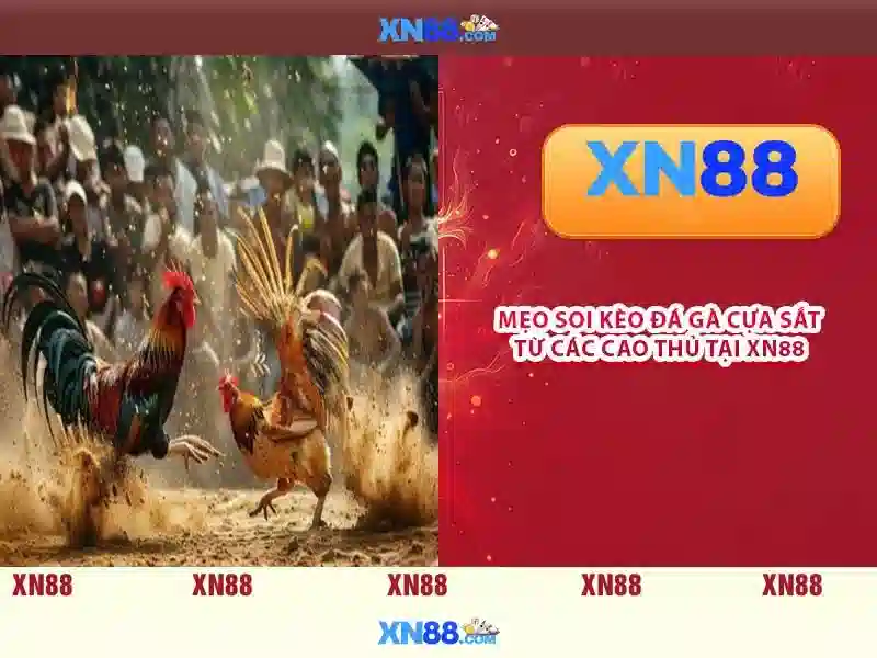 💎nhà cái uy tín fb88💎