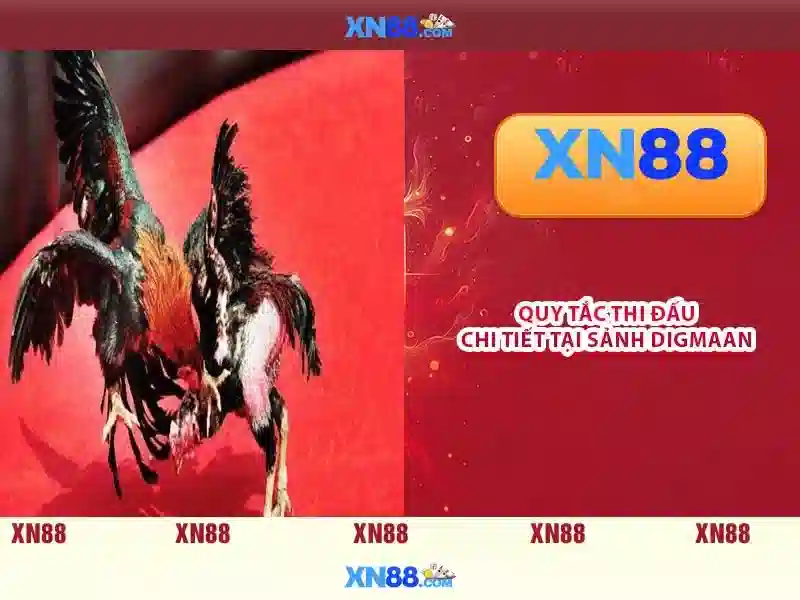 💎phim cuoc doi phat thich ca tap 52💎