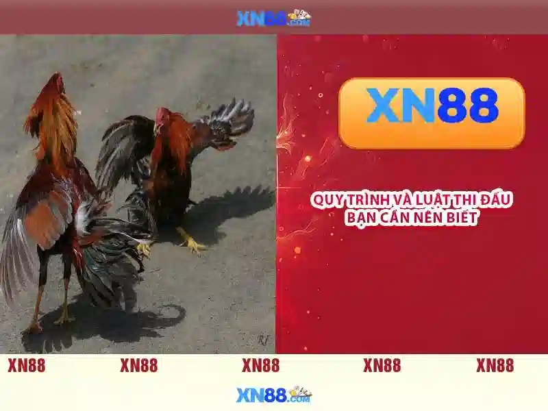 💎hot rocks slots online💎