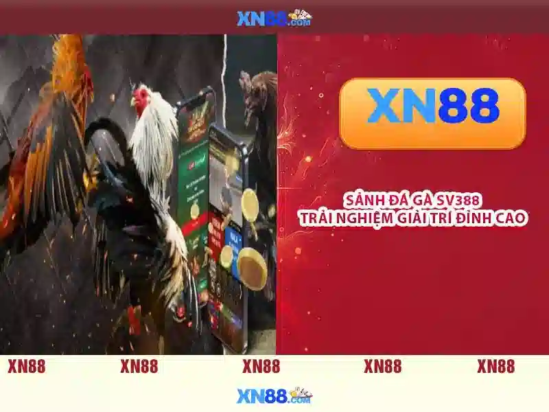 💎nhà cái 8xbet 173💎