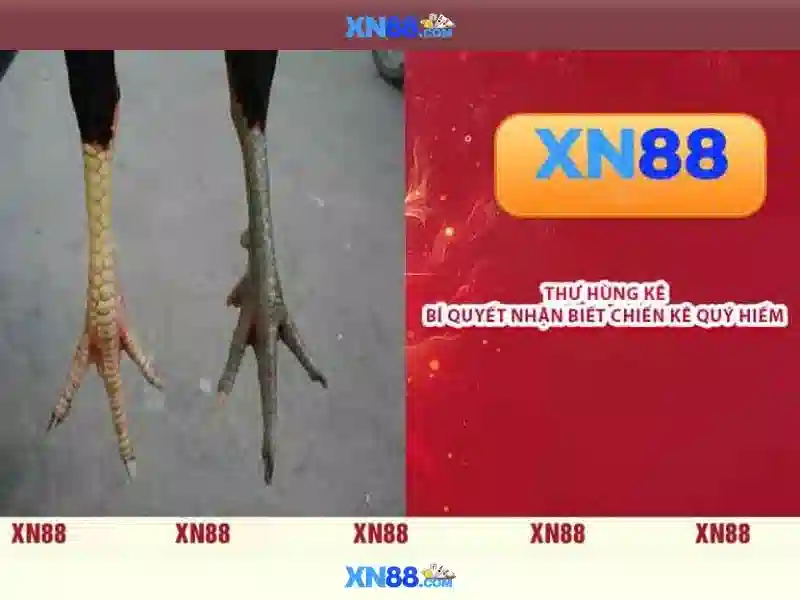 💎slots casino games online💎