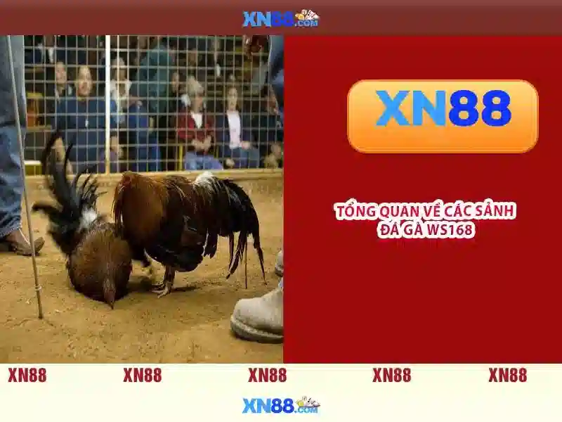 💎slot que paga no cadastro sem depósito💎