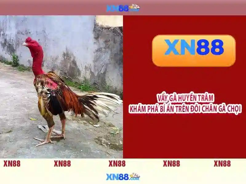 💎hb88 casino💎 - hb88 nhà cái tặng 100k - hb88 top1cacuoc