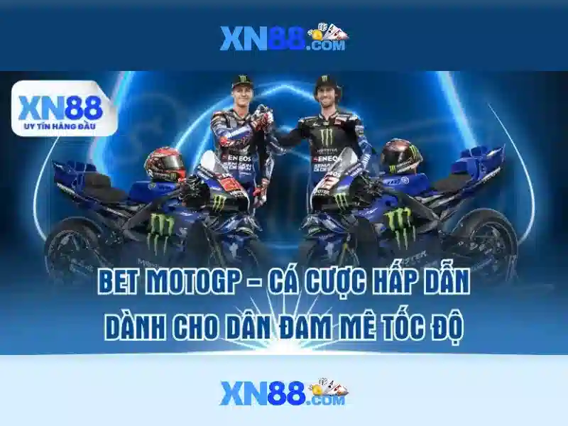 💎cước câu cá simago💎