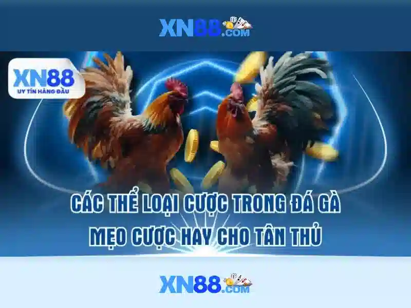 💎cước câu cá 3260💎