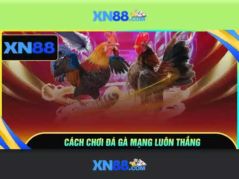 XN88 – Trải Nghiệm Game Slot Đỉnh Cao 2026 - XN88