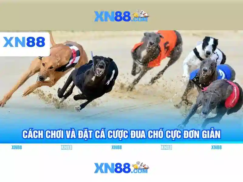 💎tiki slot game💎