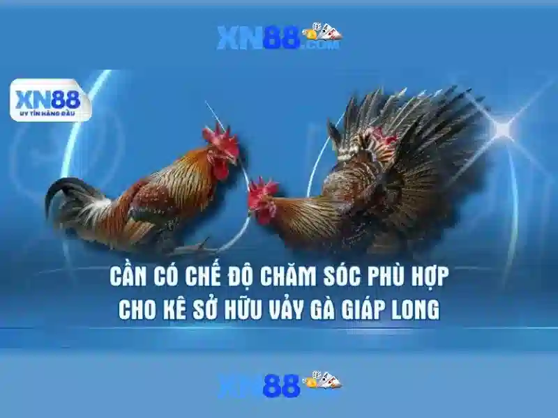 💎bảng cá cược bóng đá💎