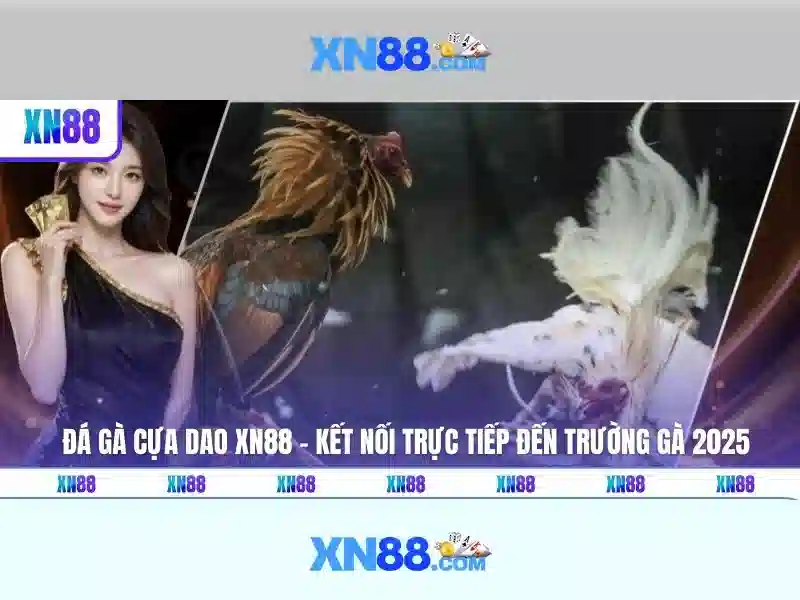 💎cá cược tiếng anh💎